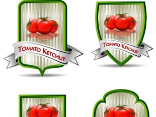 310x233 Tomato With Ketchup Vector Free Vectors Ui Download