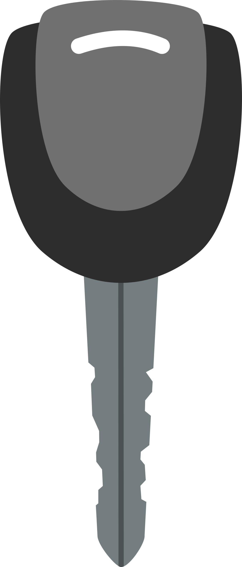 1024x2400 Black Key Vector Art Image