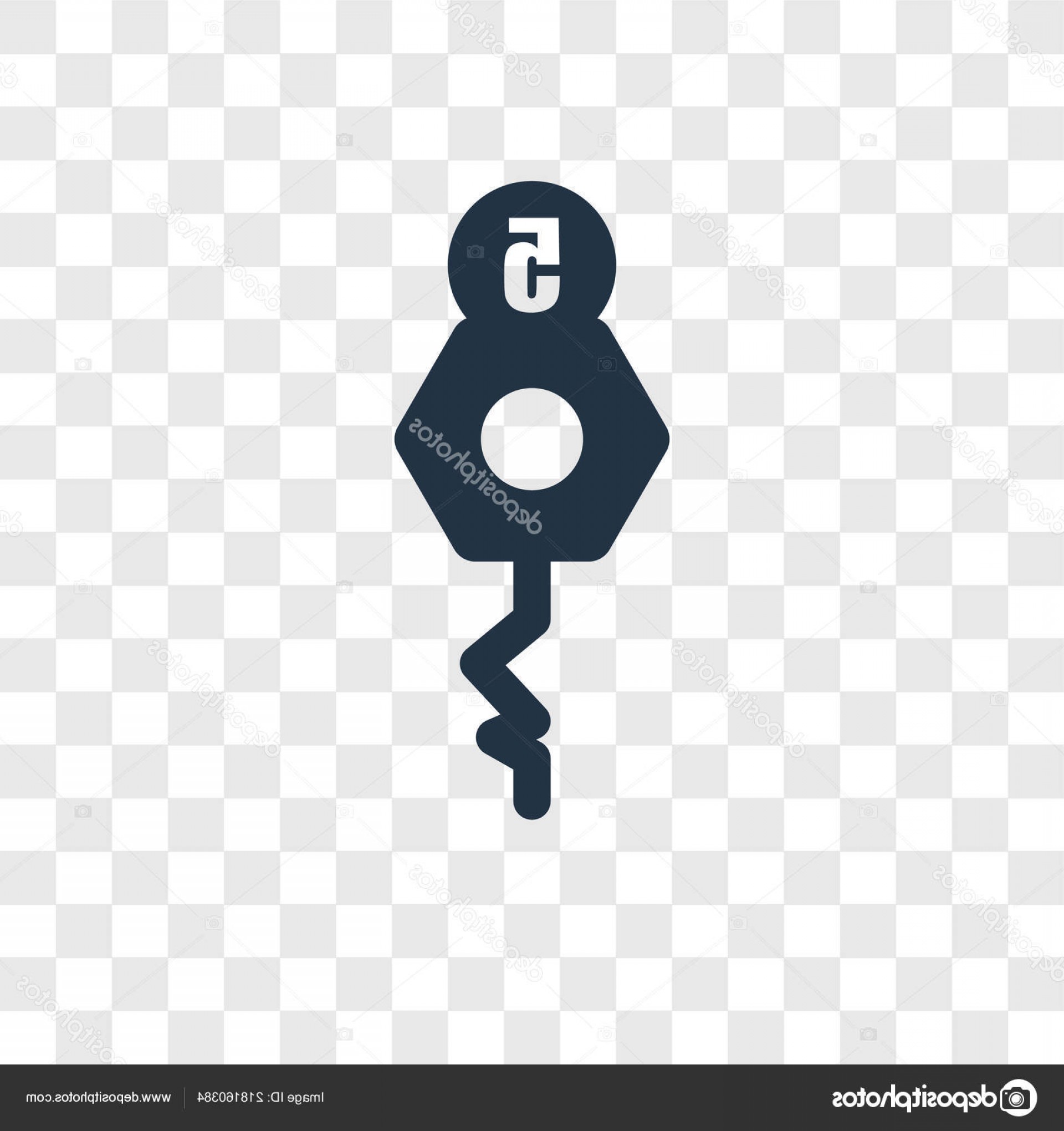 1920x2040 Key Vector Transparent Soidergi