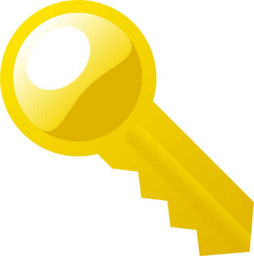 496x500 Key Vector Icon