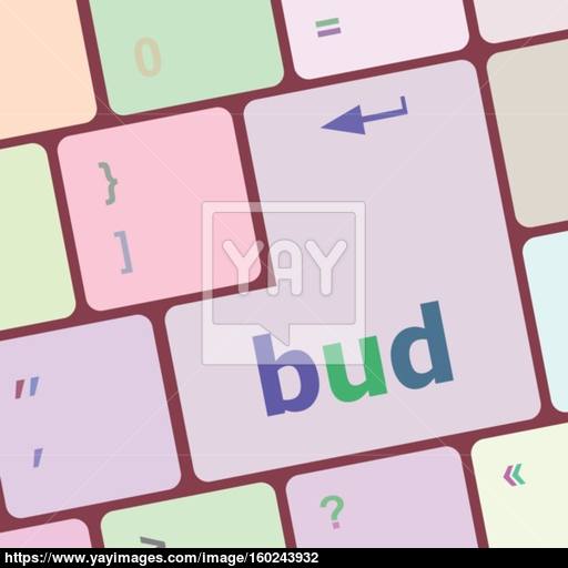 512x512 Button With Bud Word On Computer Keyboard Keys Vector Illustration