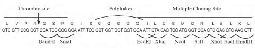 850x161 Mcs Of The Pgex Kg Vector Download Scientific Diagram