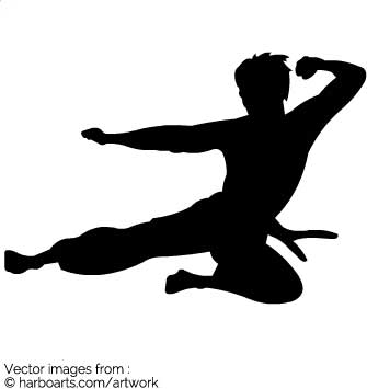 335x355 Download Bruce Lee Fly Kick