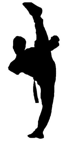295x600 Tkd Shadow Free Images