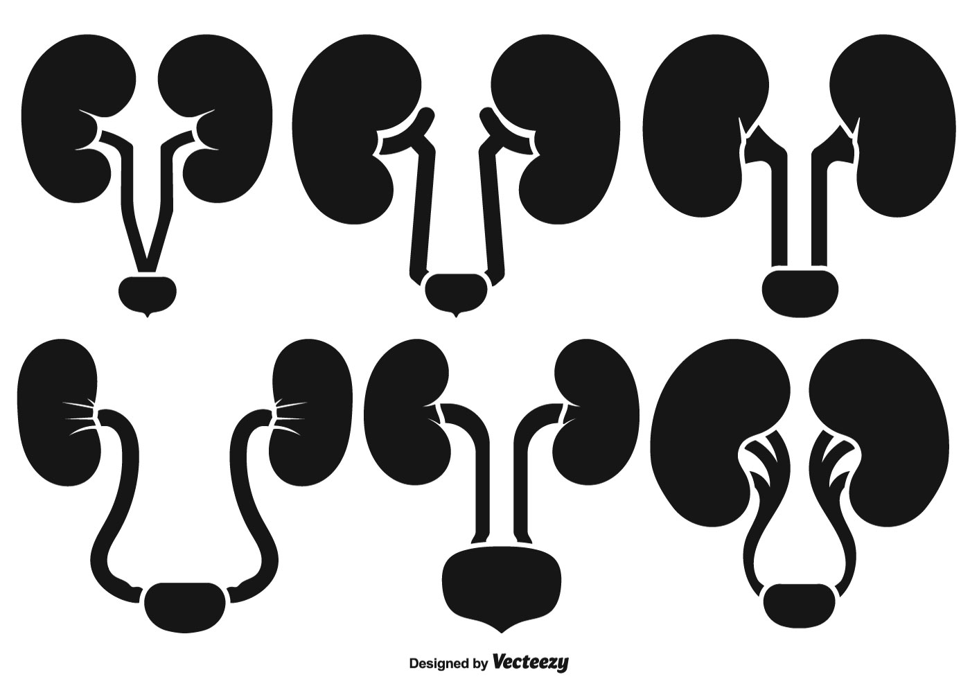 1400x980 Kidney Free Vector Art