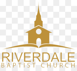 260x240 Kidney Vector Png And Kidney Vector Transparent Clipart Free Download