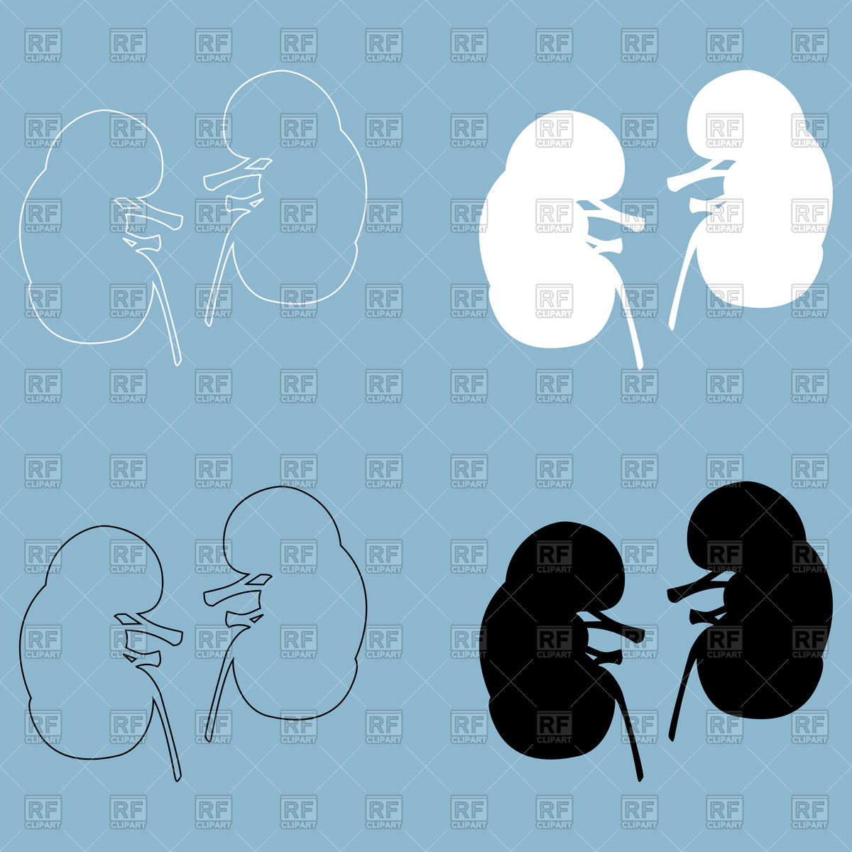 1200x1200 Kidney On Blue Background Vector Image Of Healthcare, Medical