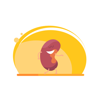 400x400 Page Kidney On Curated Vector Illustrations, Stock Royalty Free