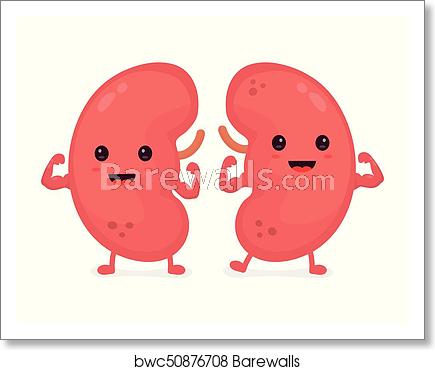 435x370 Happy Cute Smiling Healthy Kidney Vector, Art Print Barewalls