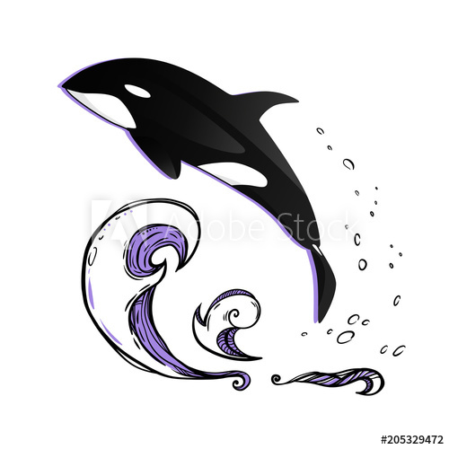 500x500 Jumping Killer Whale Vector Graphic Illustration The Whale Above