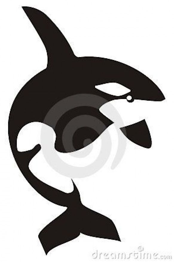 582x873 Killer Whale