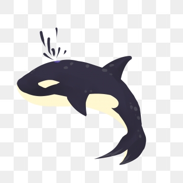 360x360 Killer Whale Png Images Vector And Free Download