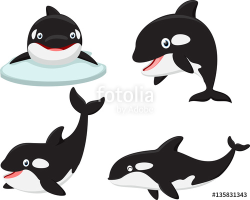 500x400 Killer Whale Cartoon Collection Set Stock Image And Royalty Free