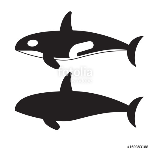 500x500 Killer Whale Vector Icon It Outline Style Orca Logo Or Label