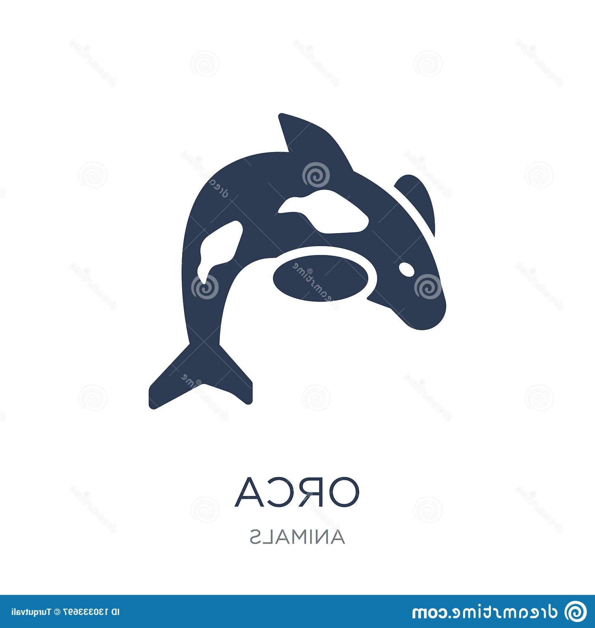 1920x2026 Native Killer Whale Vector Hoodamath