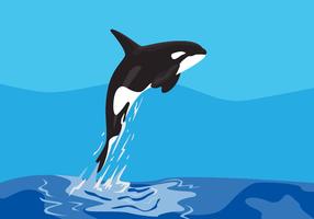 286x200 Orca Free Vector Art
