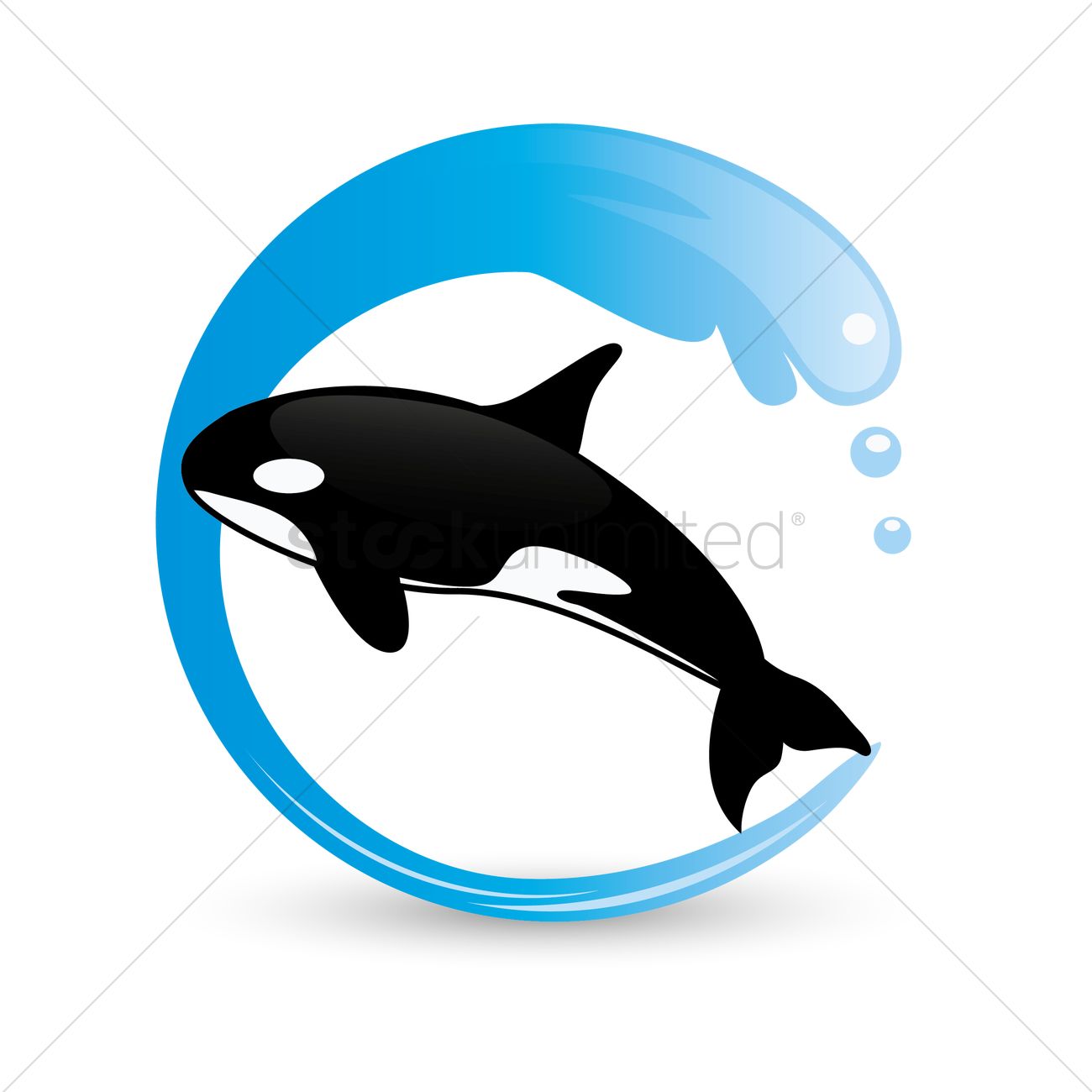 1300x1300 Free Killer Whale Vector Image