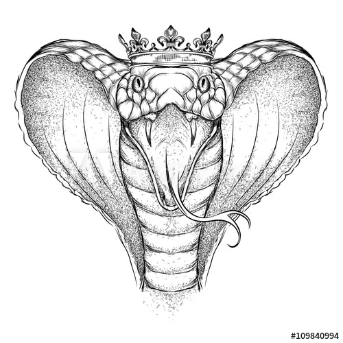 500x500 Hand Draw King Cobra In The Crown Vector Illustration