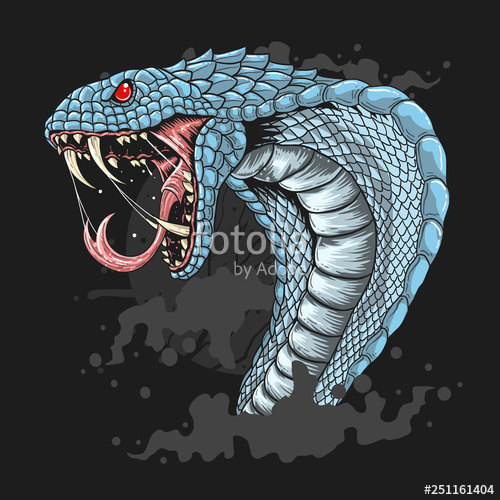 500x500 King Cobra Head Detail Vector Stock Image And Royalty Free