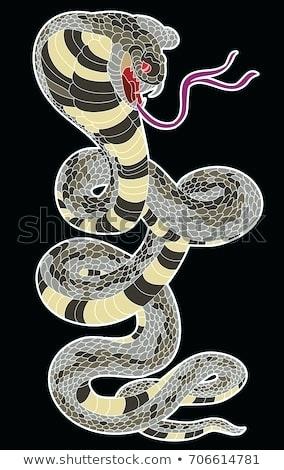 284x470 King Cobra Mouth Open Snake Cobra Tattoo Style Cobra Vector King