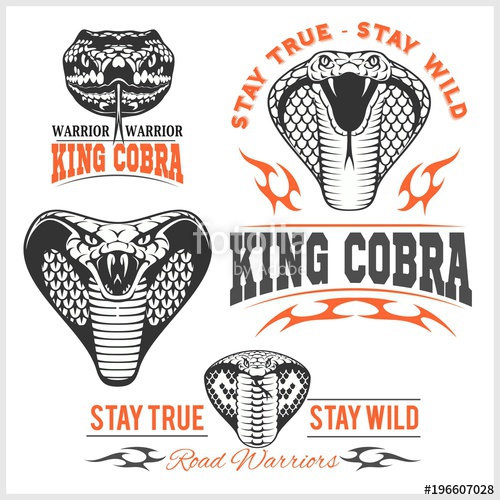 500x500 Biker Patches King Cobra