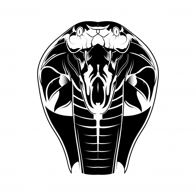 626x626 King Cobra Vectors, Photos And Free Download