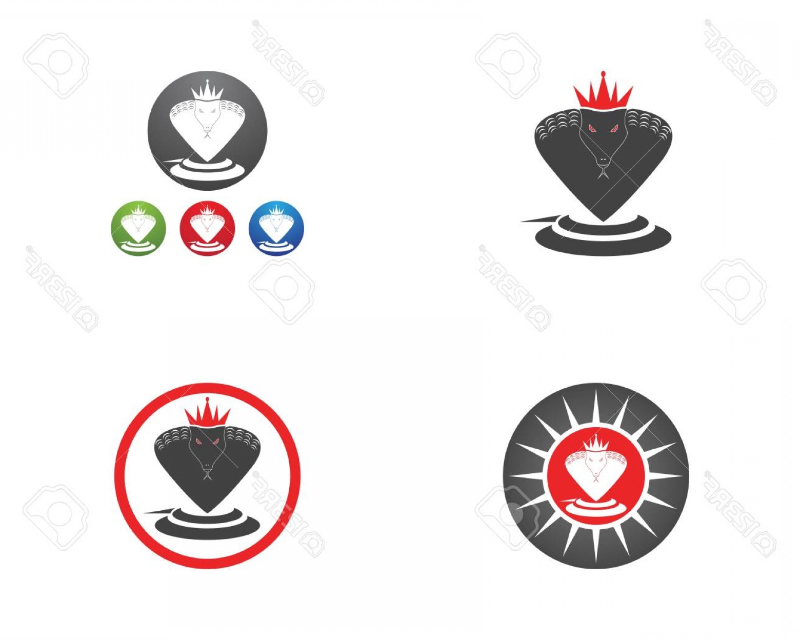 1560x1248 Photostock Vector King Cobra Logo Vector Template Hoodamathrun