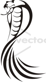 181x320 Swish Style King Cobra Snake Icon Logo