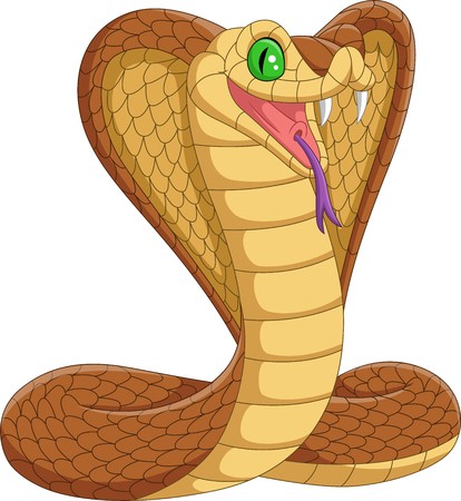 414x450 Vector Illustration Of Cartoon King Cobra Snake On White