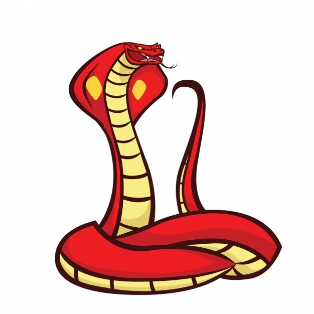 626x626 Cobra Vectors, Photos And Free Download