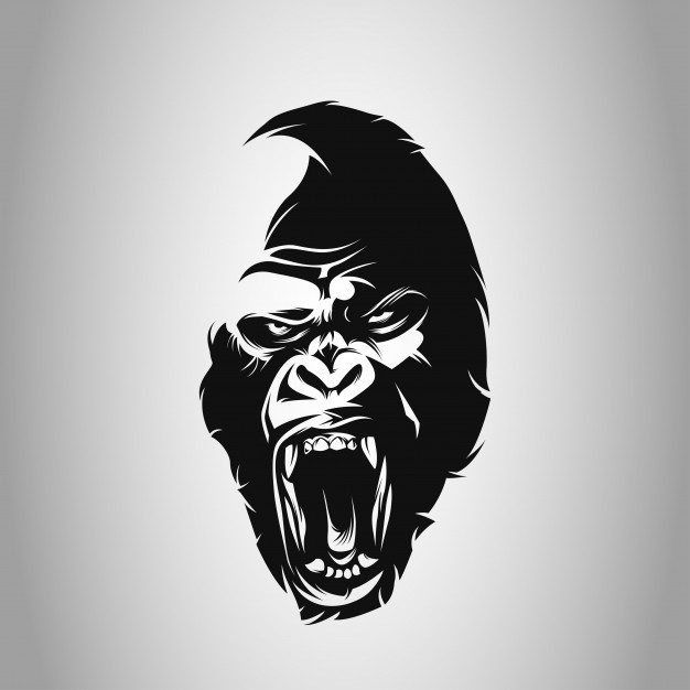 King Kong Vectors, Photos And Free Download 626x626 King Kong Vectors, Photos And Free Download