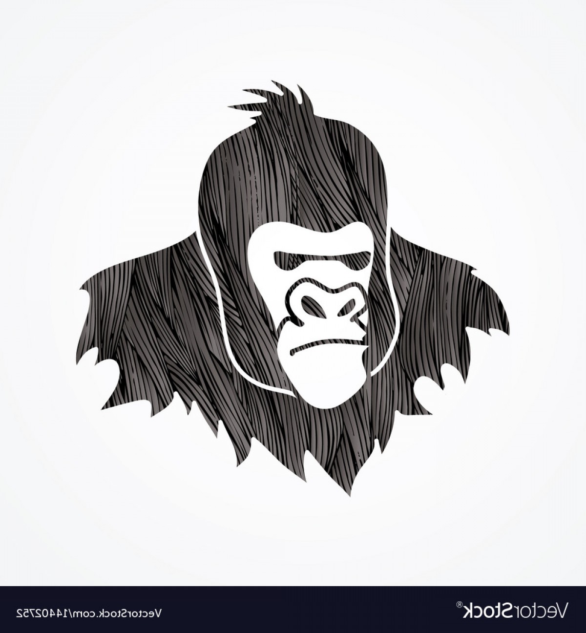 Gorilla Head King Kong Face Angry Big Monkey Vector Createmepink 1200x1296 Gorilla Head King Kong Face Angry Big Monkey Vector Createmepink