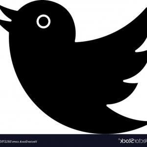 Best Free Kiss Logo Twitter Bird Vector Design Newwaysys 300x300 Best Free Kiss Logo Twitter Bird Vector Design Newwaysys