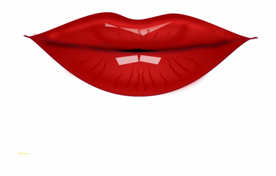 Print Lips Kiss Vector Background Stock Vector Awesome 920x586 Print Lips Kiss Vector Background Stock Vector Awesome