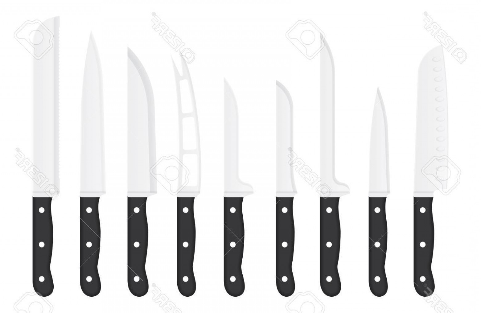 1560x1015 Photostock Vector Kitchen Knife Set With Signature Names Isolated