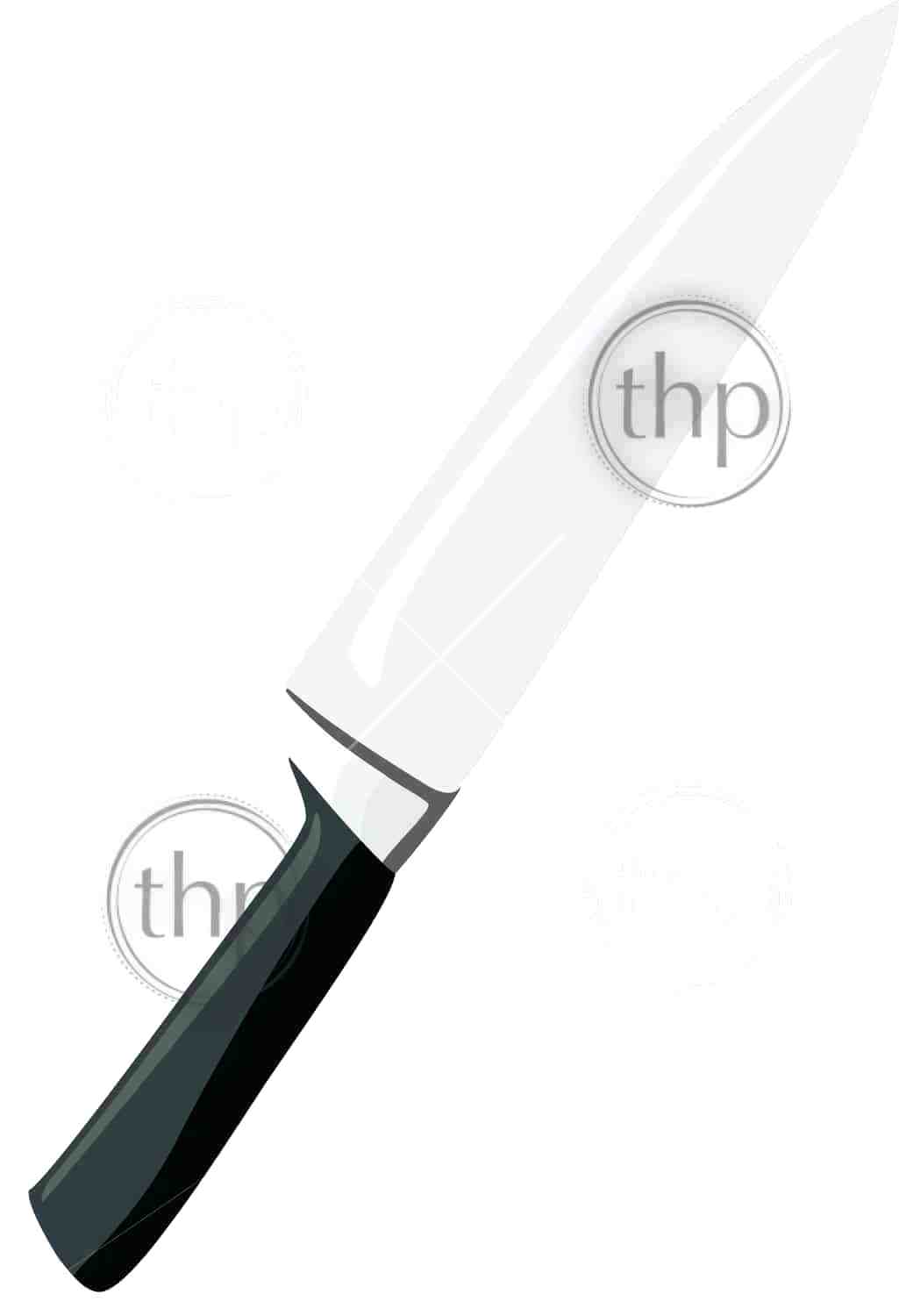 1025x1500 Kitchen Knife Vector