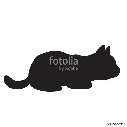 500x500 Kitten Silhouette Vector Illustration Stock Image And Royalty