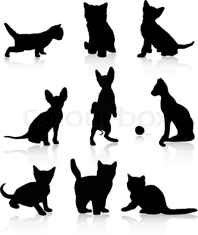 675x800 Kittens And Cats Vector Illustration Stock Vector Colourbox