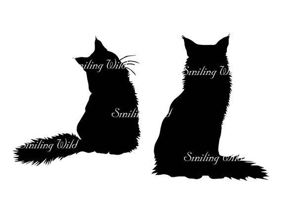 570x403 Maine Coon Cat Silhouette Clipart Mainecoon Kitten Vector Etsy