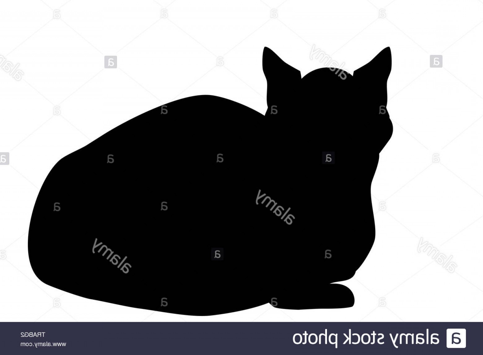 1560x1147 Siamese Cat Silhouette Vector Hoodamathrun