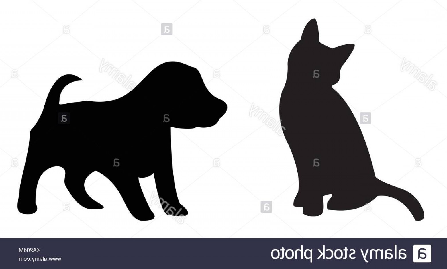 1560x939 Stock Image Puppy And Kitten Silhouette On White Background
