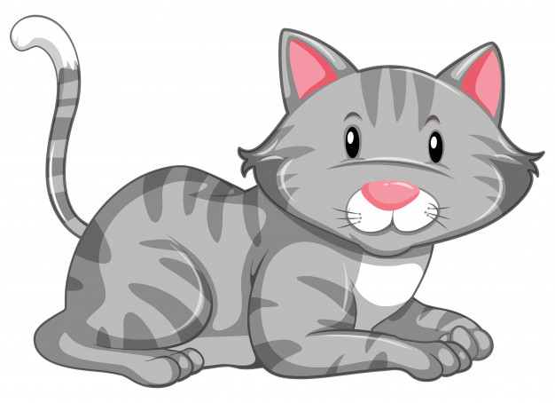 Kitten Vector At Vectorified.com 