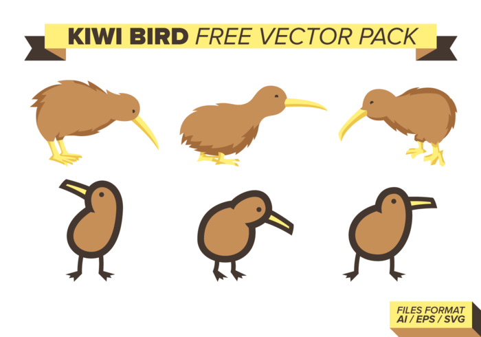 700x490 Kiwi Bird Free Vector Pack