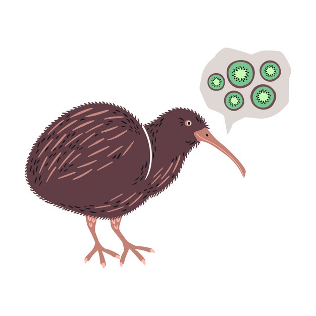 626x626 Kiwi Bird Vectors, Photos And Free Download