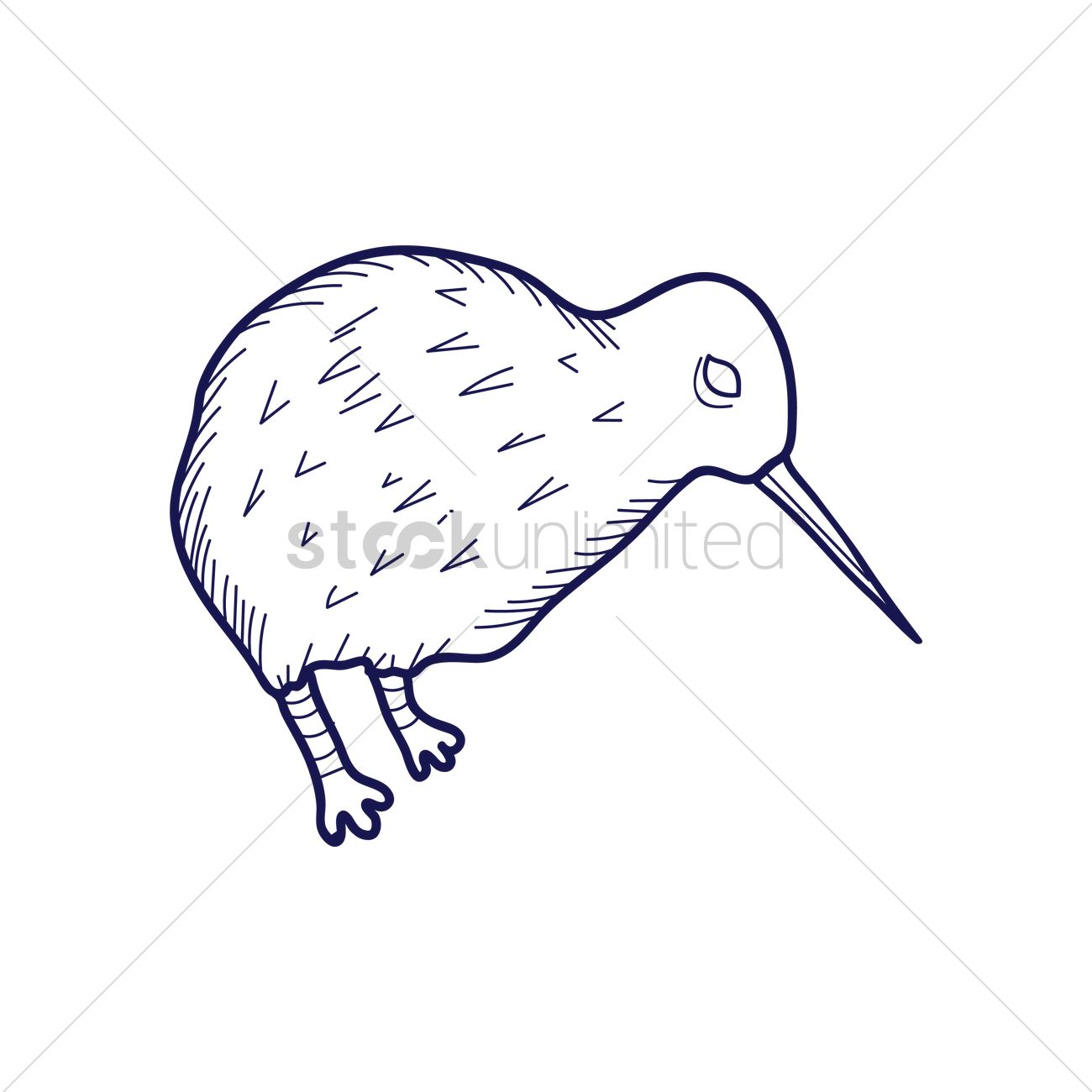 1300x1300 Kiwi Bird Vector Image