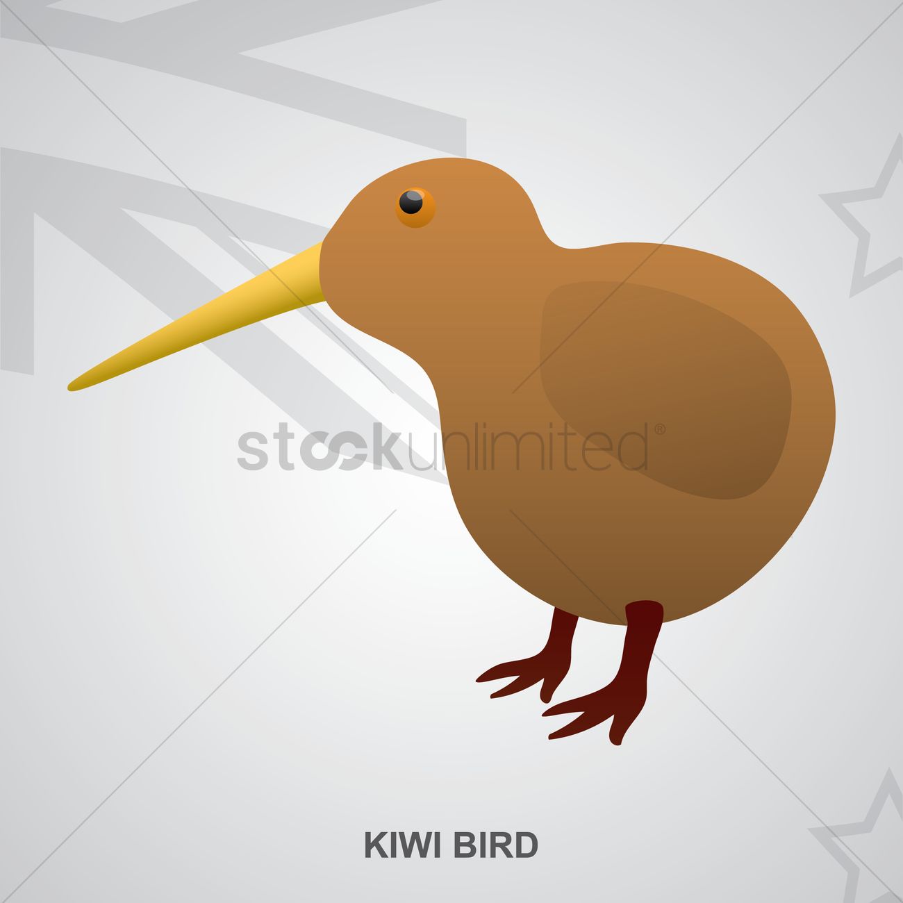 1300x1300 Kiwi Bird Vector Image