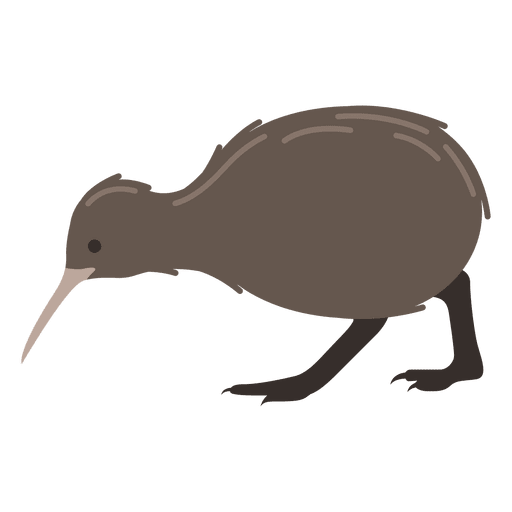512x512 Kiwi Bird Apteryx