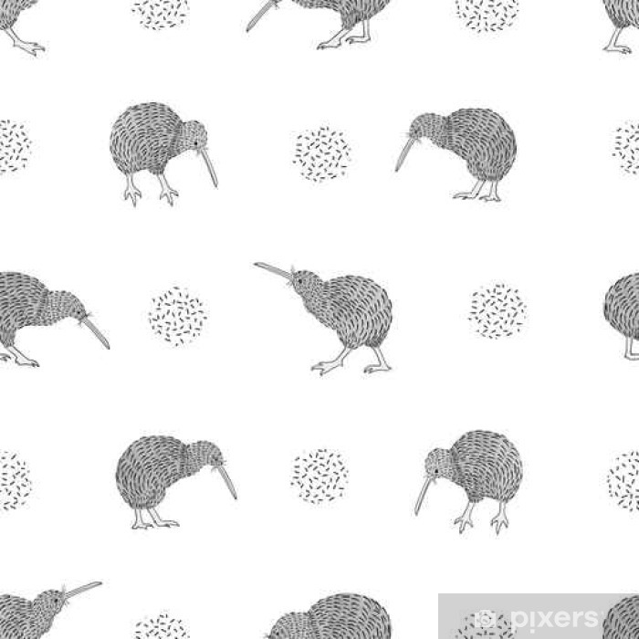 700x700 Seamless Kiwi Birds Pattern Vector Black And White Background