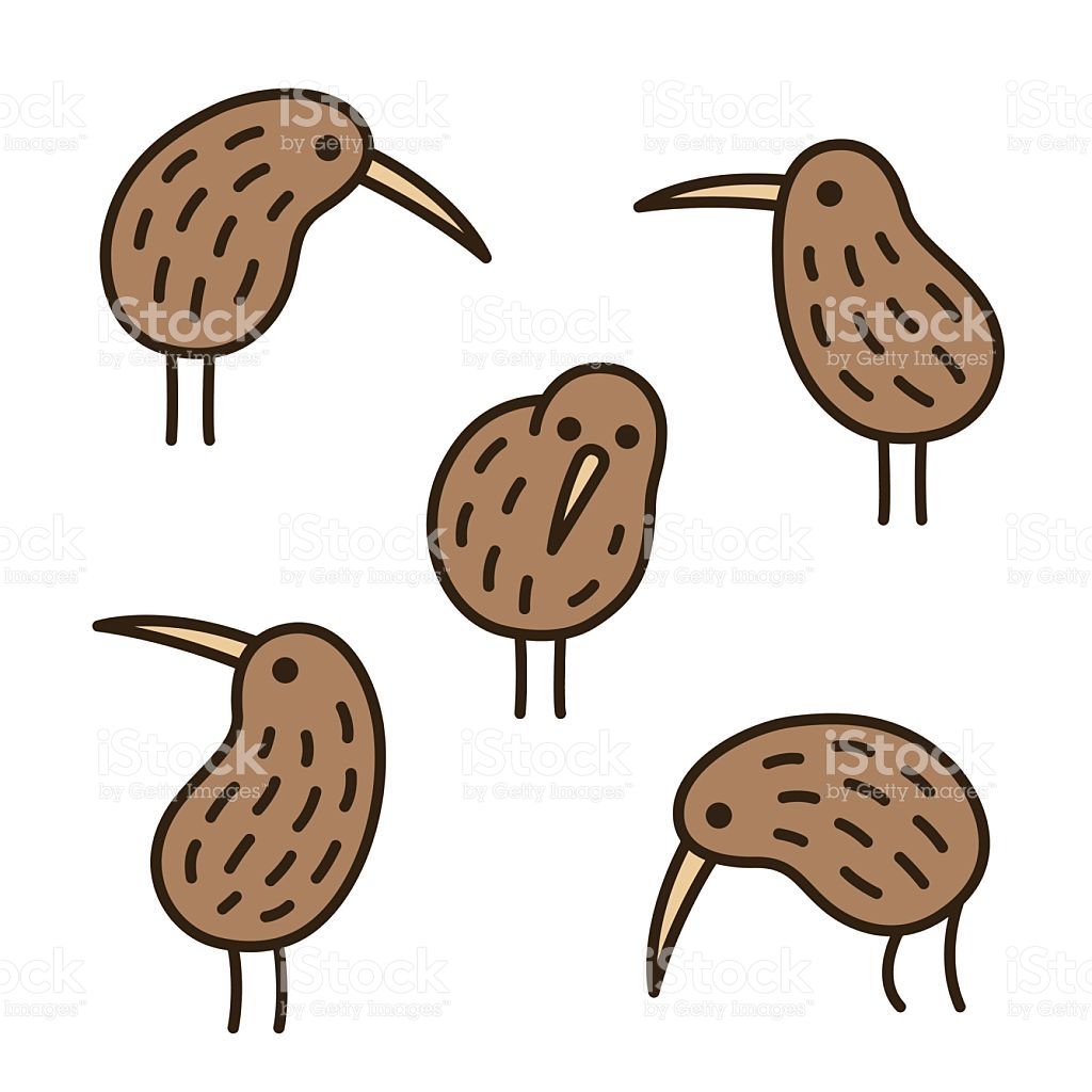 1024x1024 Set Of Doodle Kiwi Birds In Different Poses Simple And Cute Hand