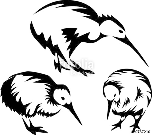 500x445 Kiwi Bird Stock Image And Royalty Free Vector On Fotolia